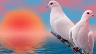 فارس عباد | سورة القمر | Fares Abbad | Sorat Al-Qamar