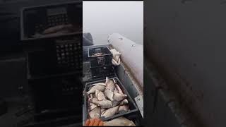 Рыбалка дождь туман