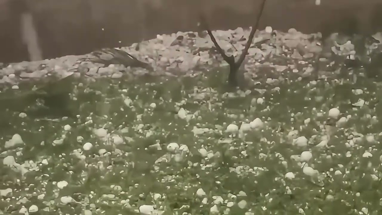 Tormenta y granizo en San Jorge: daños y cortes de luz.