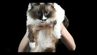 Download Lagu Uw kat eet beter dan u MP3