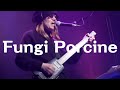 「Fungi Porcine」with 富岡"Grico"義広 Dr
