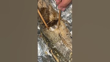 CÁ LÓC NƯỚNG MUỐI TUYẾT #eat #food #foodie