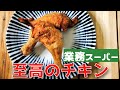 簡単素揚げ！至高のチキン【業務スーパー】