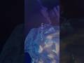 「濡れたスカート。」/すいそうぐらし1st ONE-MAN LIVE「それでも好きって言ってほしい夜。」より