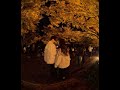 ③🍁【国営昭和記念公園の紅葉まつりを散歩してみた。【夜】カナール編📺本編はVR180の8Kバージョンで公開中！→🍁 [Night Walk at Showa Memorial Parkを押して‼