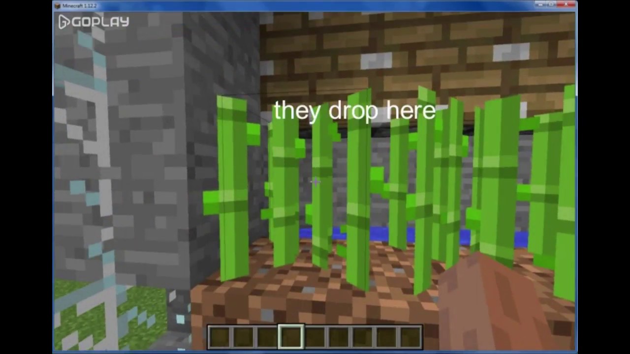 Minecraft sugar cane xp farm YouTube