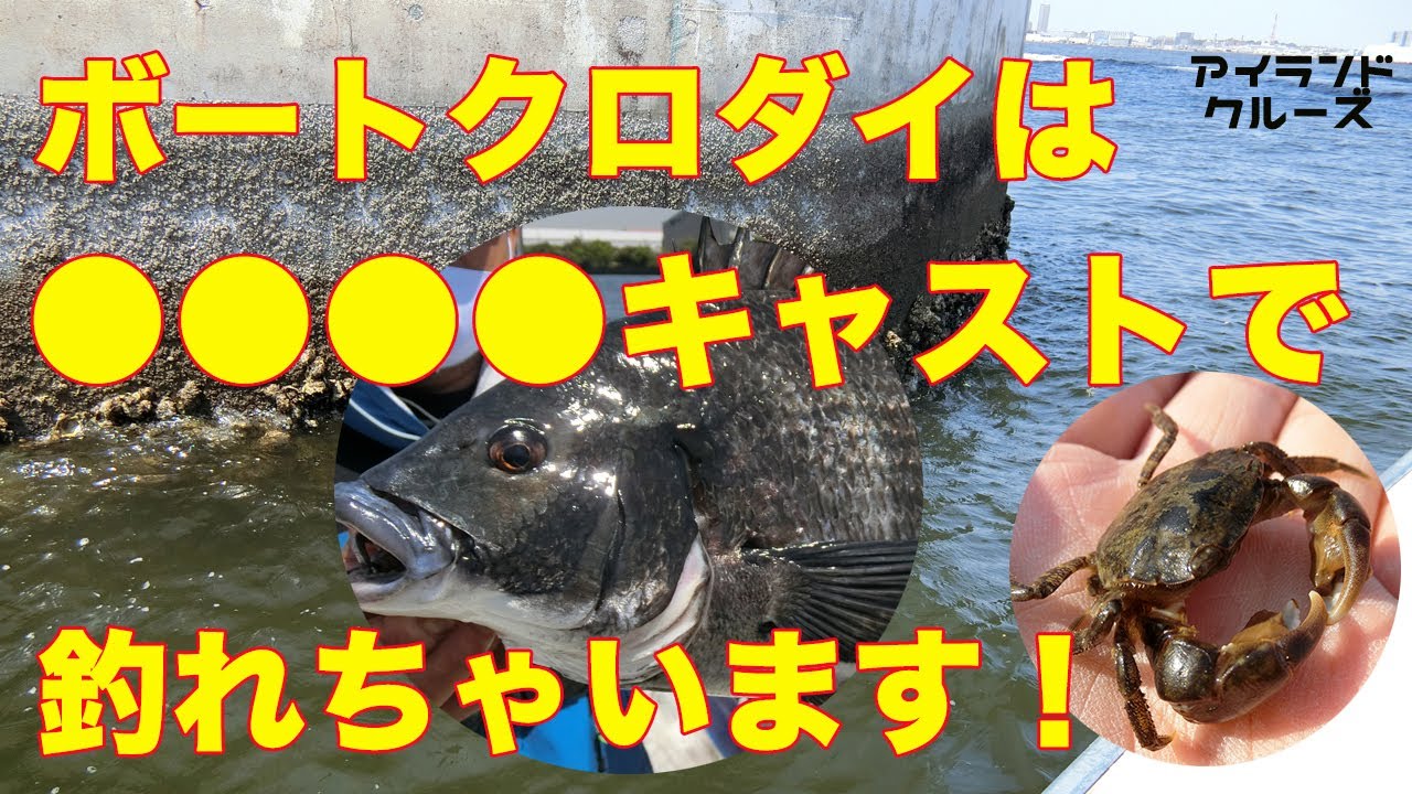 ボートクロダイは○○○○キャストで釣れちゃいます！　アイランドクルーズ