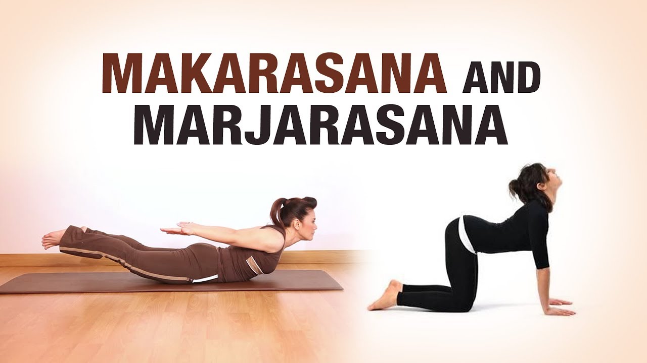 Dandasana In Kannada Dandasana In Kannada