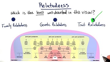 Relatedness - Tales from the Genome
