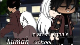 💕 Girl In An All Alphas School 💕 ~ 𝐼𝑡𝑧 𝑆𝑜𝑓𝑖 ~ Part 1/2