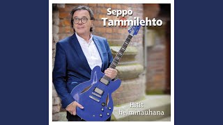 Video thumbnail of "Seppo Tammilehto - Niin paljon kuuluu rakkauteen"