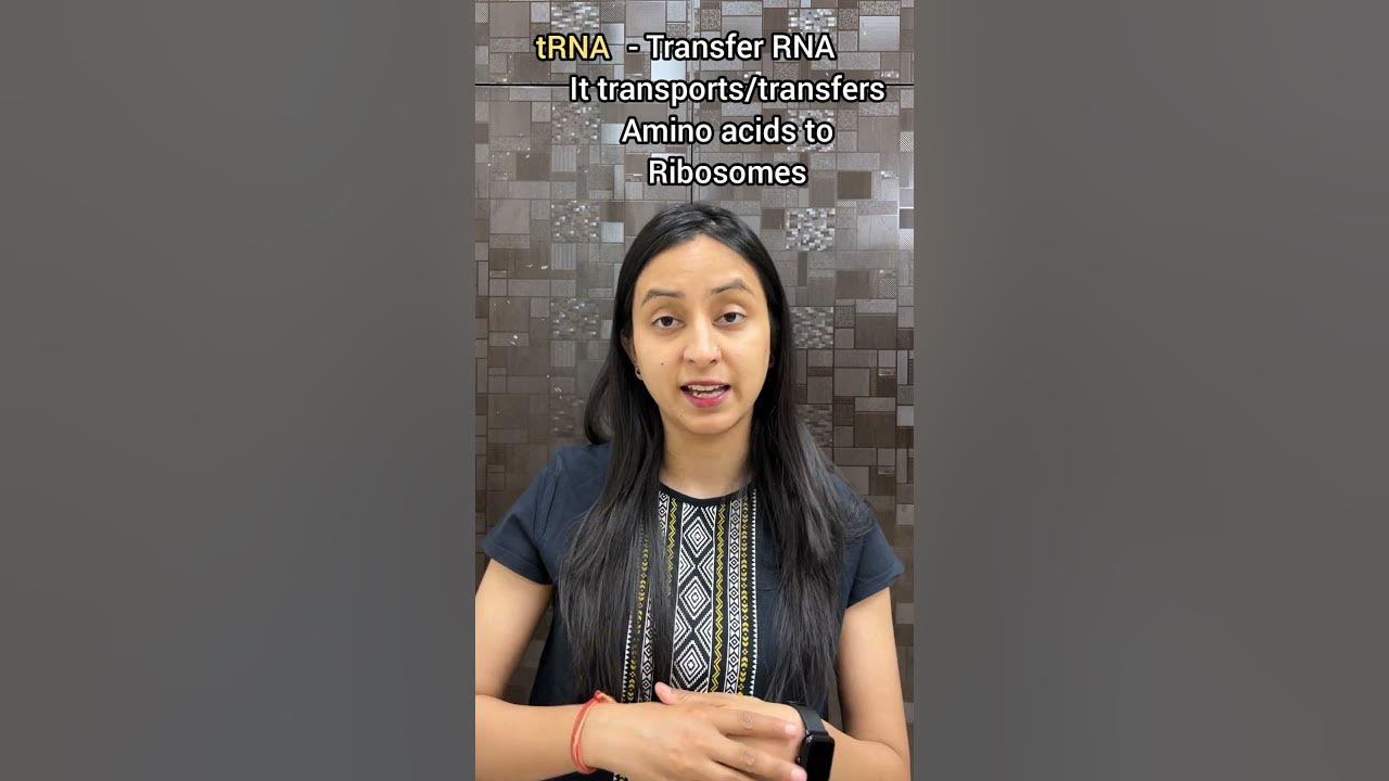 NCERT Most Important Lines13 tRNA The Adapter Molecule neet 