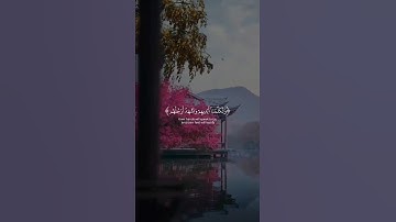 انشــر تؤجــر الدال على الخــير كفــاعلـه🤍🎧 #قرآن_کریم #quran #تلاوة_هادئة #أرح_سمعك