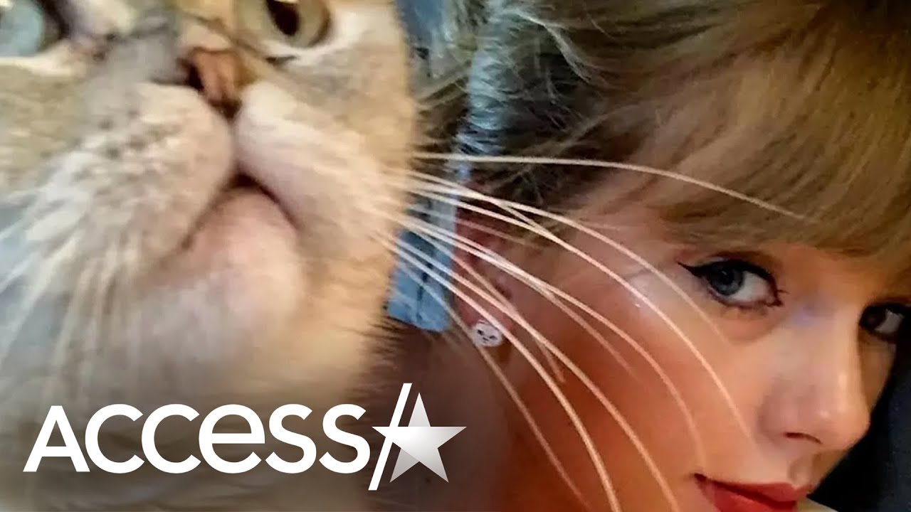 Taylor Swift's Cat Olivia Benson Is Reportedly Worth $97 Million