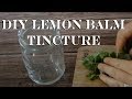 How to Make Lemon Balm Tincture + 3 Culinary Uses