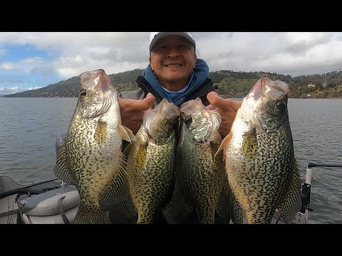 Bass Junkies Fishing Addiction: Under the Bridge: In search of Crappie