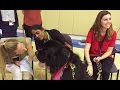 The Benefits of Animal Assisted Therapy for Psychiatric Patients
