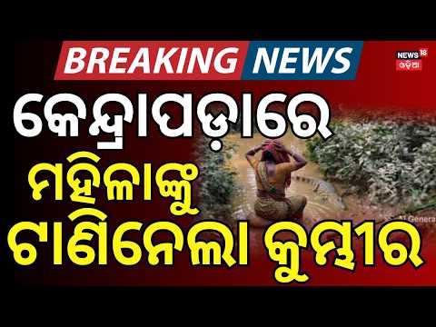 କେନ୍ଦ୍ରାପଡ଼ାରେ କୁମ୍ଭୀର ଆତଙ୍କ। Suspected Crocodile Attack in Odisha's Kendrapara | Woman Goes Missing