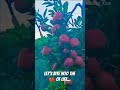 #new#apple#red#tree#nature season#rain#mountains #himachal#pahari#love#music#viral#youtubeshorts