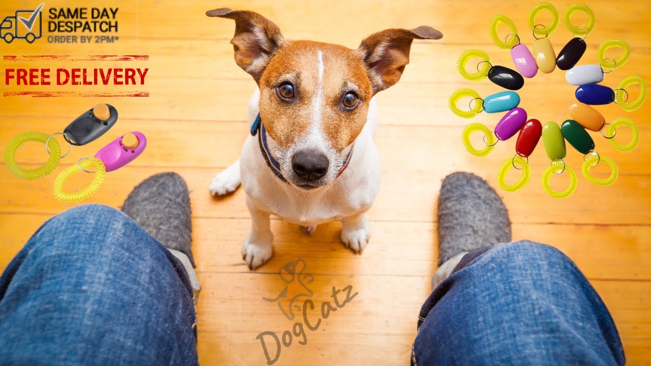 Dog Clickers, With Free Wristband, Training For Dogs, Puppies, Train
