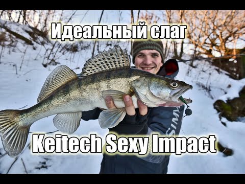 Video: Scuppernong жүзүмүнүн сезону качан болот?