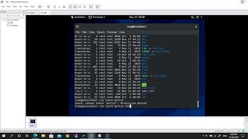 primary and Secondary group