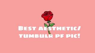 Aesthetic/tumblr pf pics!❤️