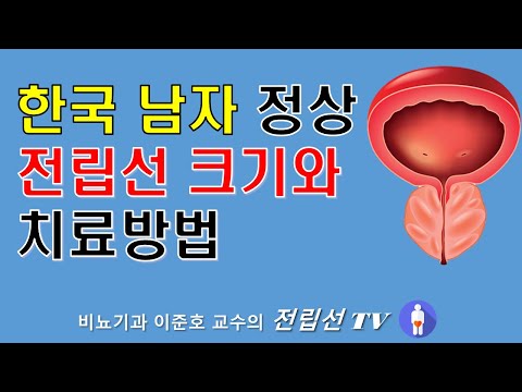 한국인 남성 정상 전립선 크기와 치료방법