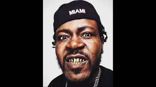 Trick Daddy - I'm A Thug