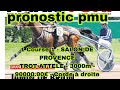 26 mars 2025 quinte 1 Course 1 - SALON DE PROVENCETROT ATTELE - 3000m - 90000.00€ - Corde à droite