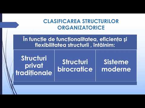 TIPURI DE STRUCTURI ORGANIZATORICE