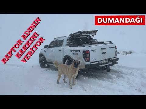 KANGAL BARON KARIN