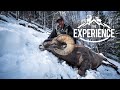 COLORADO BIGHORN EXPERIENCE - with Aaron Derose of Dillinger River Outfitters