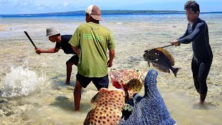 Aktivitas pagi dekat pantai mudahnya mencari ikan yg terjebak saat Air laut surut