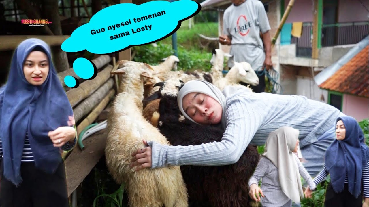 Jijik ! Lesti Kenalin Sahabat Waktu Kecil Ke Shania - AUTO MARAAH