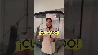 Cómo prender y apagar un equipo de audio auto amplificado ✅🎧🔊 #worship #musica #audio #shorts #fyp