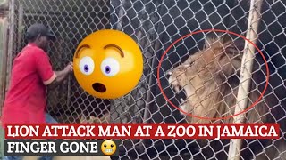 WHAT REALLY HAPPENED AT LACOVIA ZOO IN STELIZABETH | FINGER GONE 😬