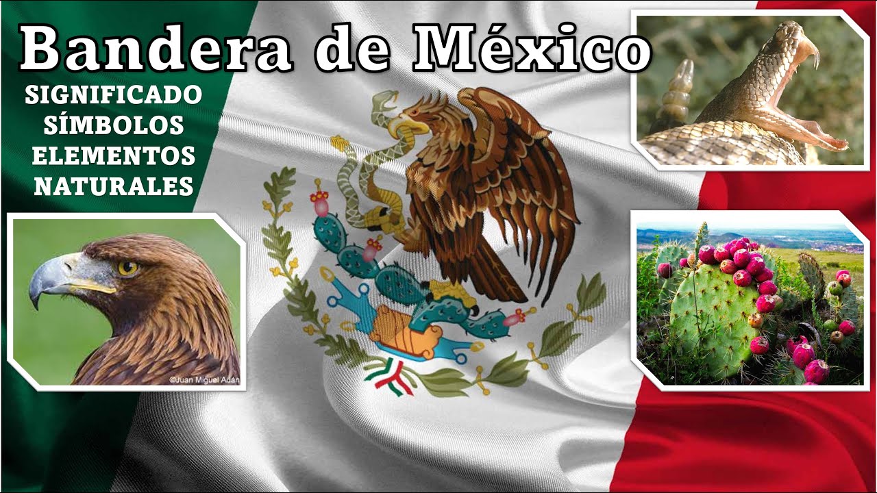 Significado y Símbolos de la Bandera de México y sus Elementos