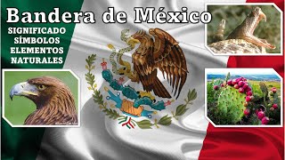 Significado y Simbolos de la Bandera de Mexico y sus Elementos Naturales 4K