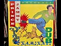 Capture de la vidéo Prince Jammy Kamakazi Dub