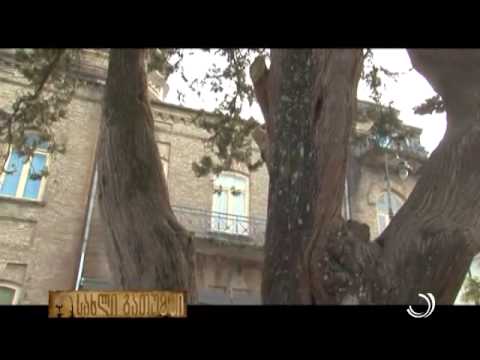 სახლი ბათუმში / თამარ ნაკაშიძის სახლი / 16 03 2015