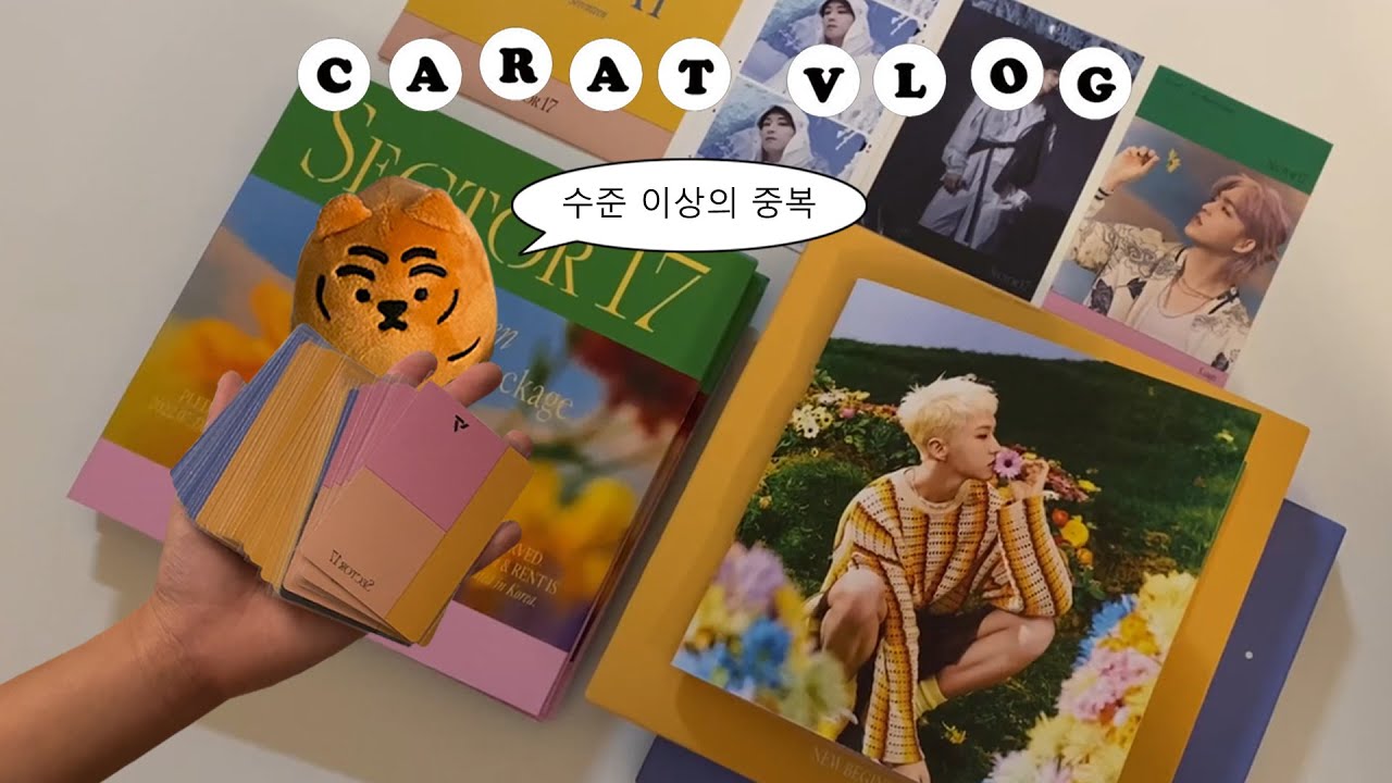 [캐럿 브이로그] 섹터17 앨범깡 2편 • 수준 이상의 회실에 웃고 수준 이하의 중복에 울다 • 뉴비기닝&뉴하이츠&컴팩트버전 • SECTOR 17• SVTㅣ덕질브이로그