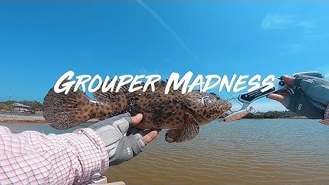 Câu Lure Bầy Cá Mú Khủng Bà Rịa Vũng Tàu | Shimano Metanium MGL