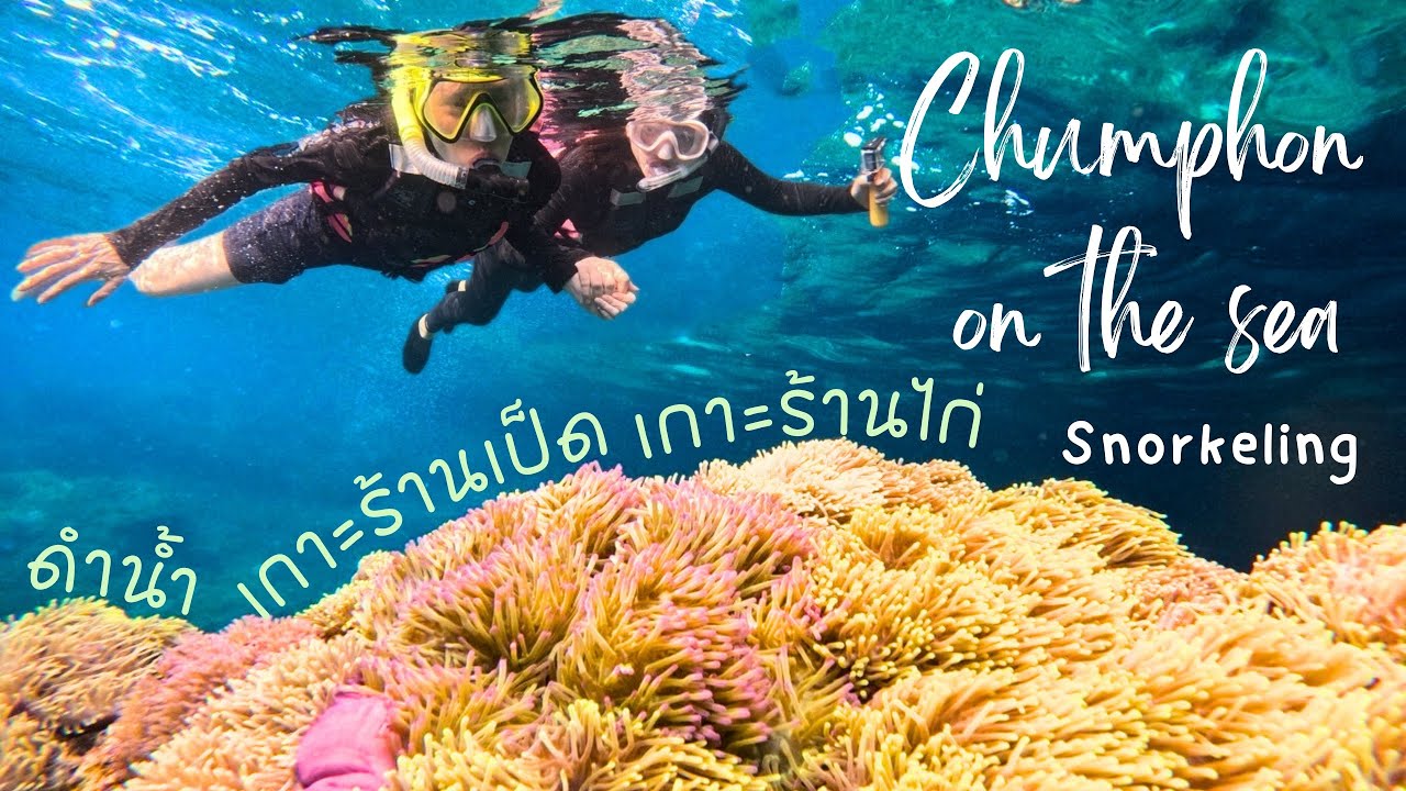 ดำน้ำเกาะร้านเป็ดร้านไก่ อยากสงบจบที่ชุมพร : Chumphon Thailand