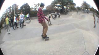 Crawley Day Edit