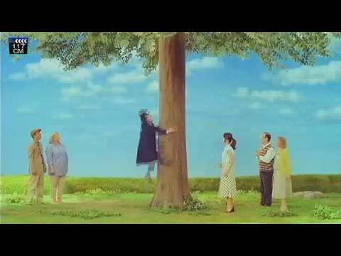 【CM】三井住友海上  堀北真希 Maki Horikita　小林賢太郎　Kentaro Kobayashi「安心を売る仕事 子猫」篇