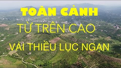 Nhìn từ trên cao Núi Đồi Lục Ngạn #lucngan #vaithieu