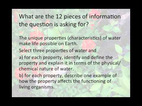 Ap biology essay questions about plants