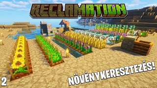 Minecraft Reclamation LIVE #2 - Keresztezünk, farmolunk, fejlődünk: új magok vadászata