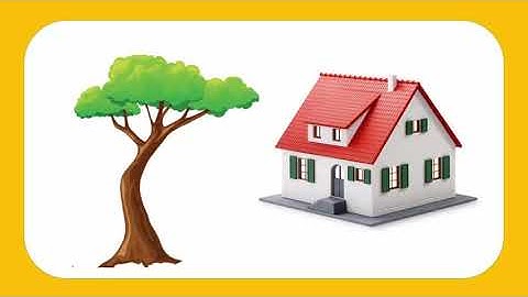 5th Maths | Chapter#06 | Topic#01 | Angle | Urdu Medium